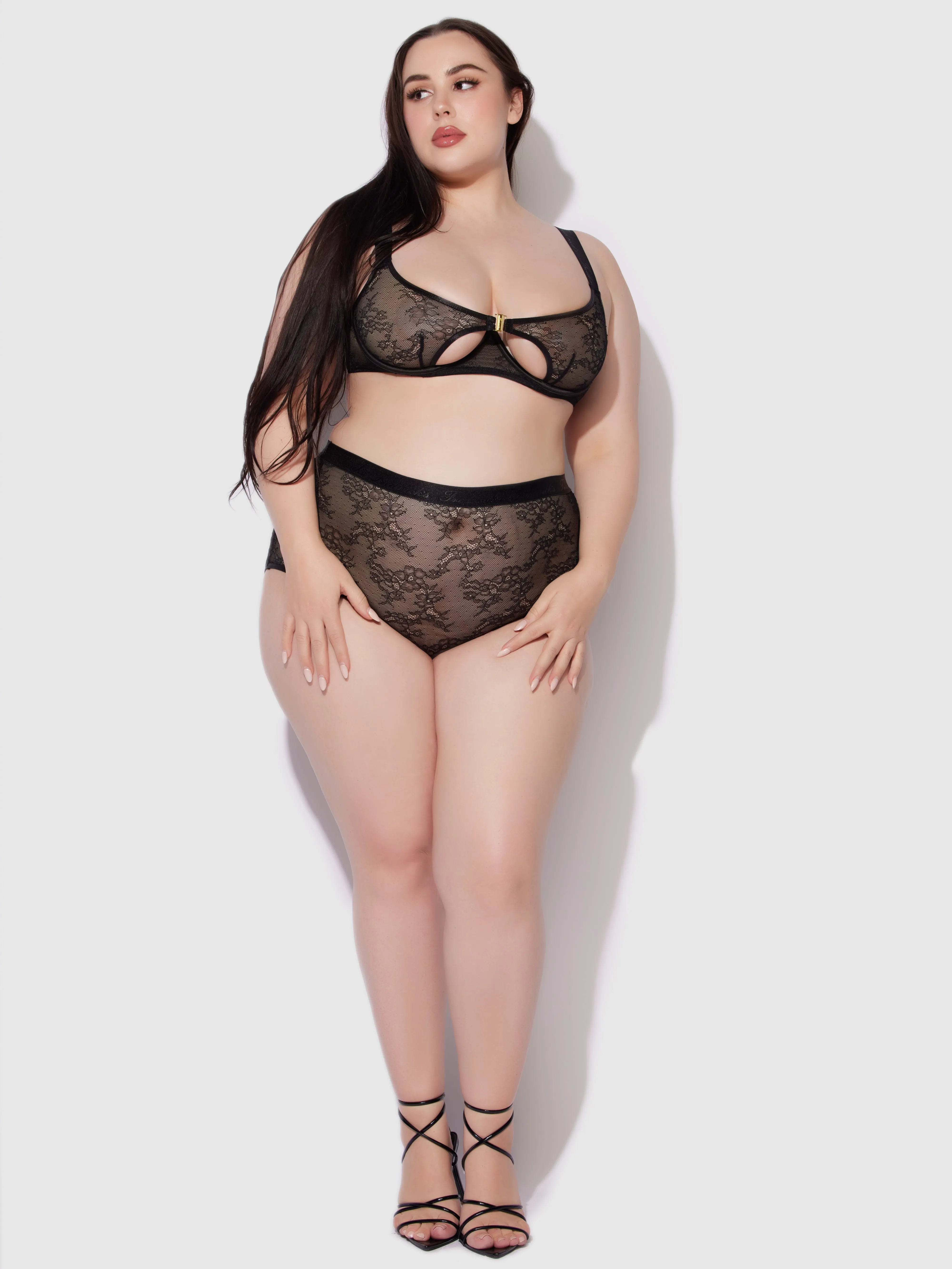 Pia Lace Cutout & High-Waist Garter Panty by Frederick's of Hollywood